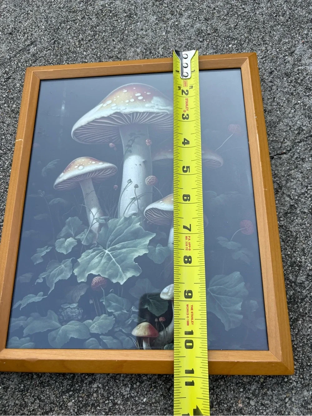 Vintage framed art print dark woodland scene dominated by large red mushrooms - Picture 11 of 11